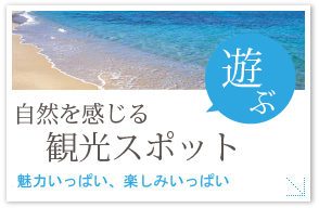 観光スポット「遊ぶ」